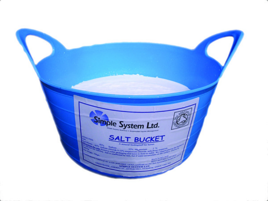 Salt Lick Tub Robust Field/Stable Salt Lick